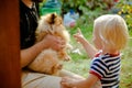 Little boy playing with the pomeranian red spitz that sitting on fatherÃ¢â¬â¢s knees